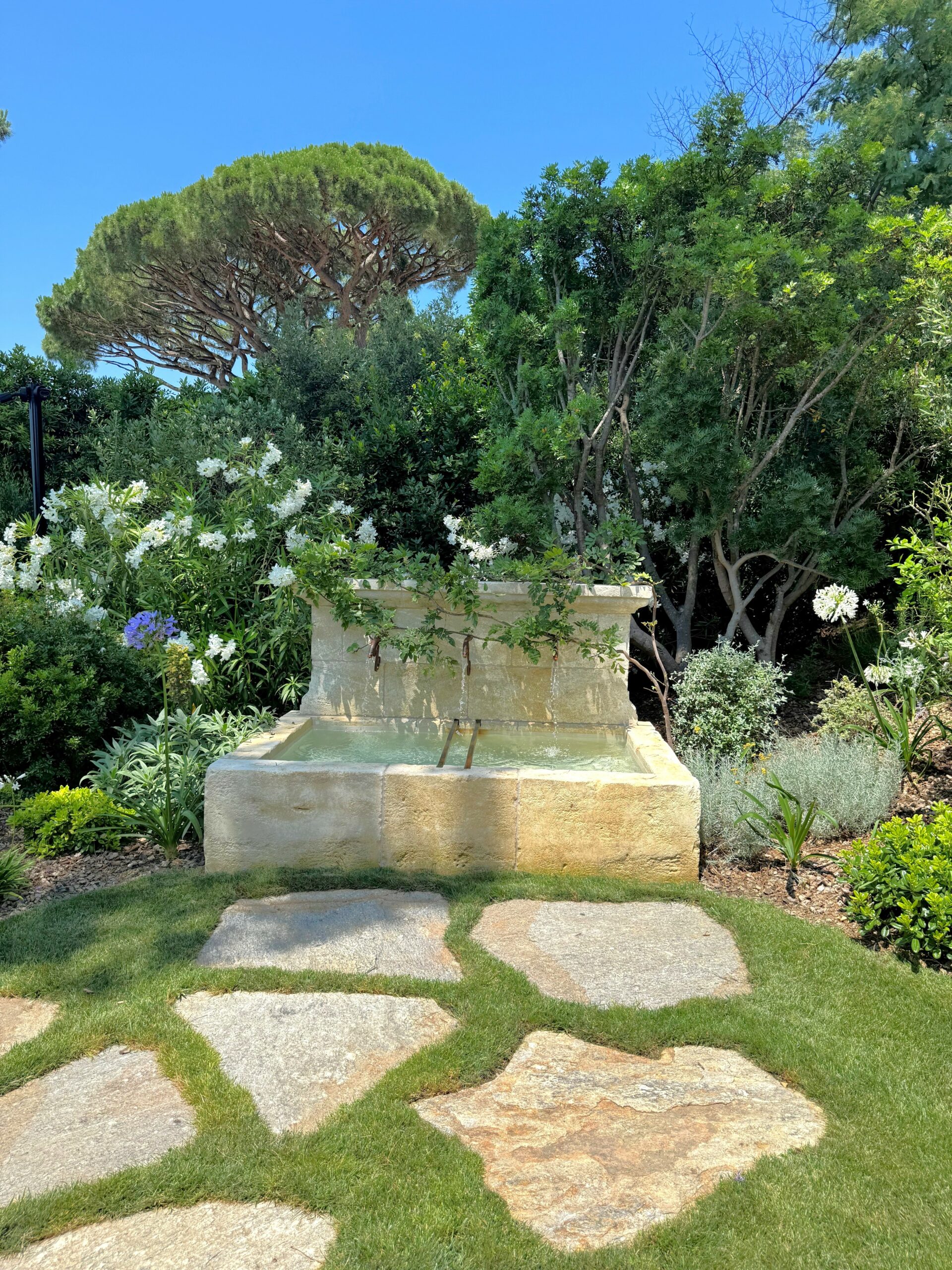 Bassin paysager intégré à un jardin méditerranéen à La Croix-Valmer