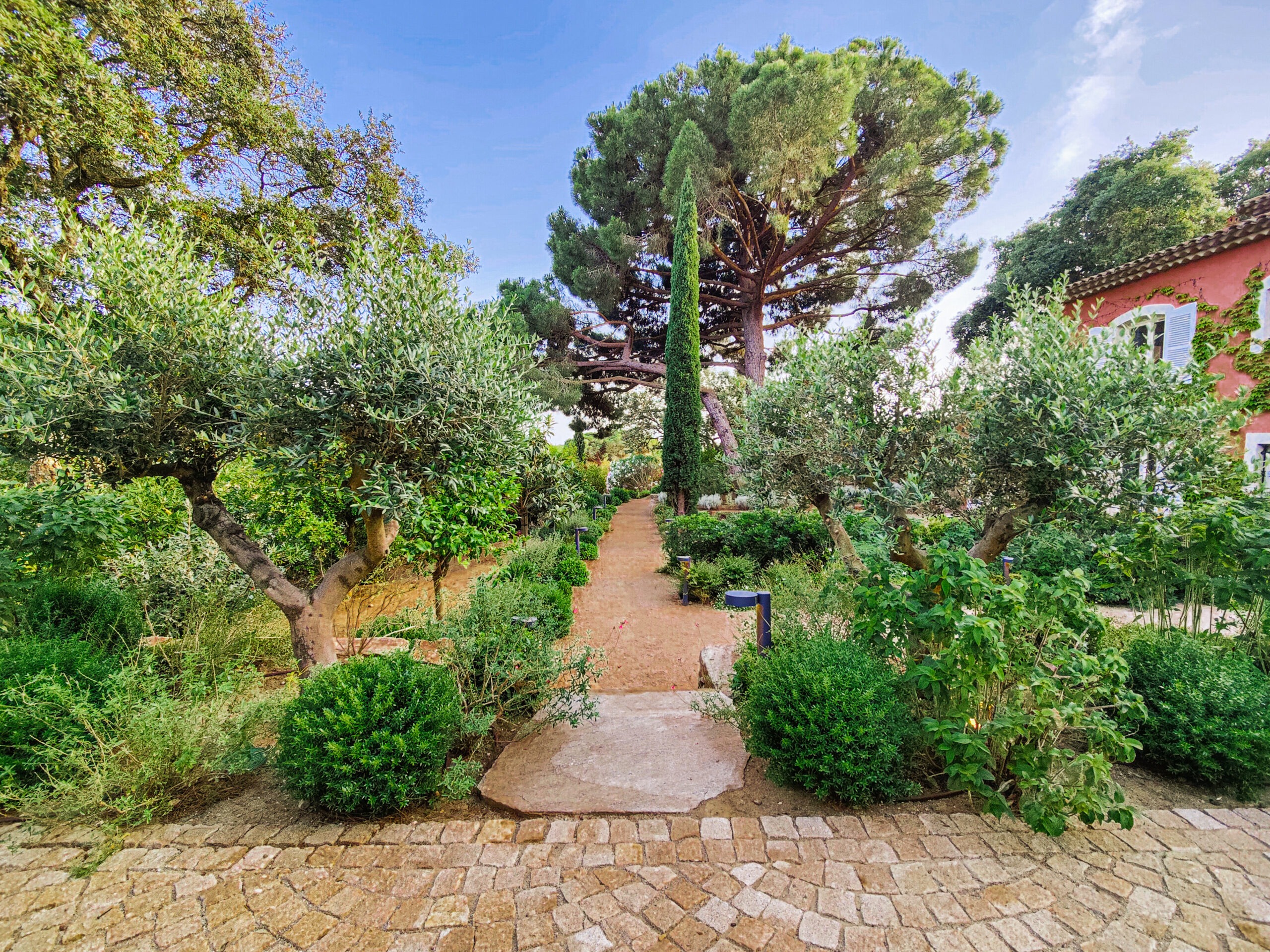 Allée pavée et cyprès — entrée d'une bastide Allée pavée en pierre du pays bordée d'oliviers et cyprès dans le jardin d'une bastide provençale par MR Paysage