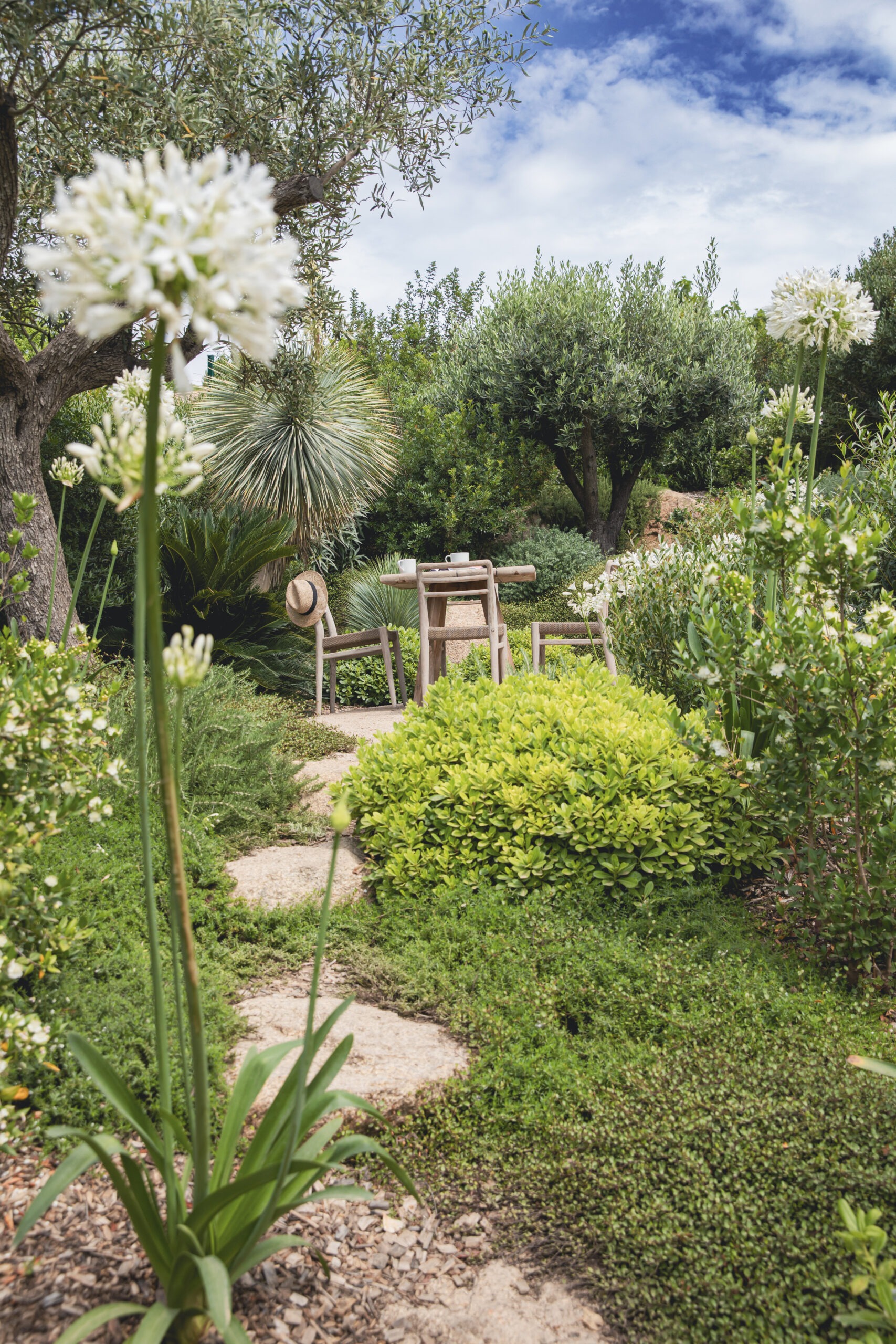 Coin lecture sous les agapanthes Coin lecture avec fauteuils en bois et agapanthes dans un jardin méditerranéen par MR Paysage