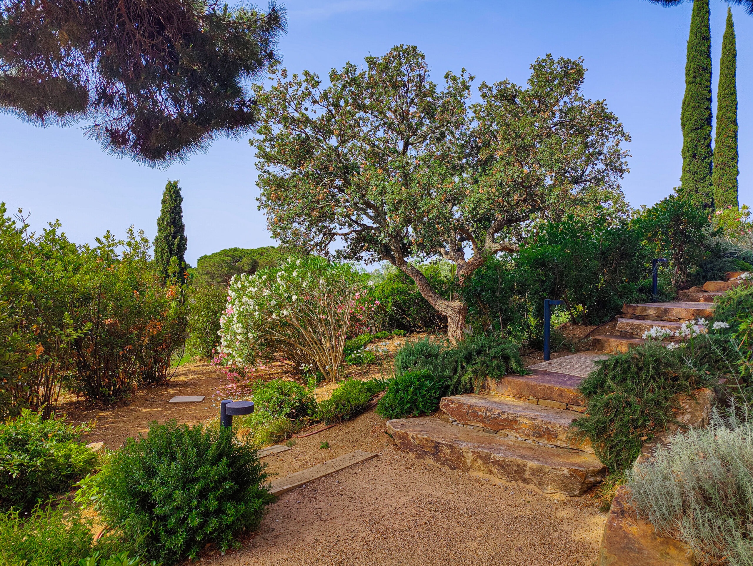 Escalier en pierre — jardin en pente Escalier en pierre du pays dans un jardin en pente avec garrigue méditerranéenne par MR Paysage