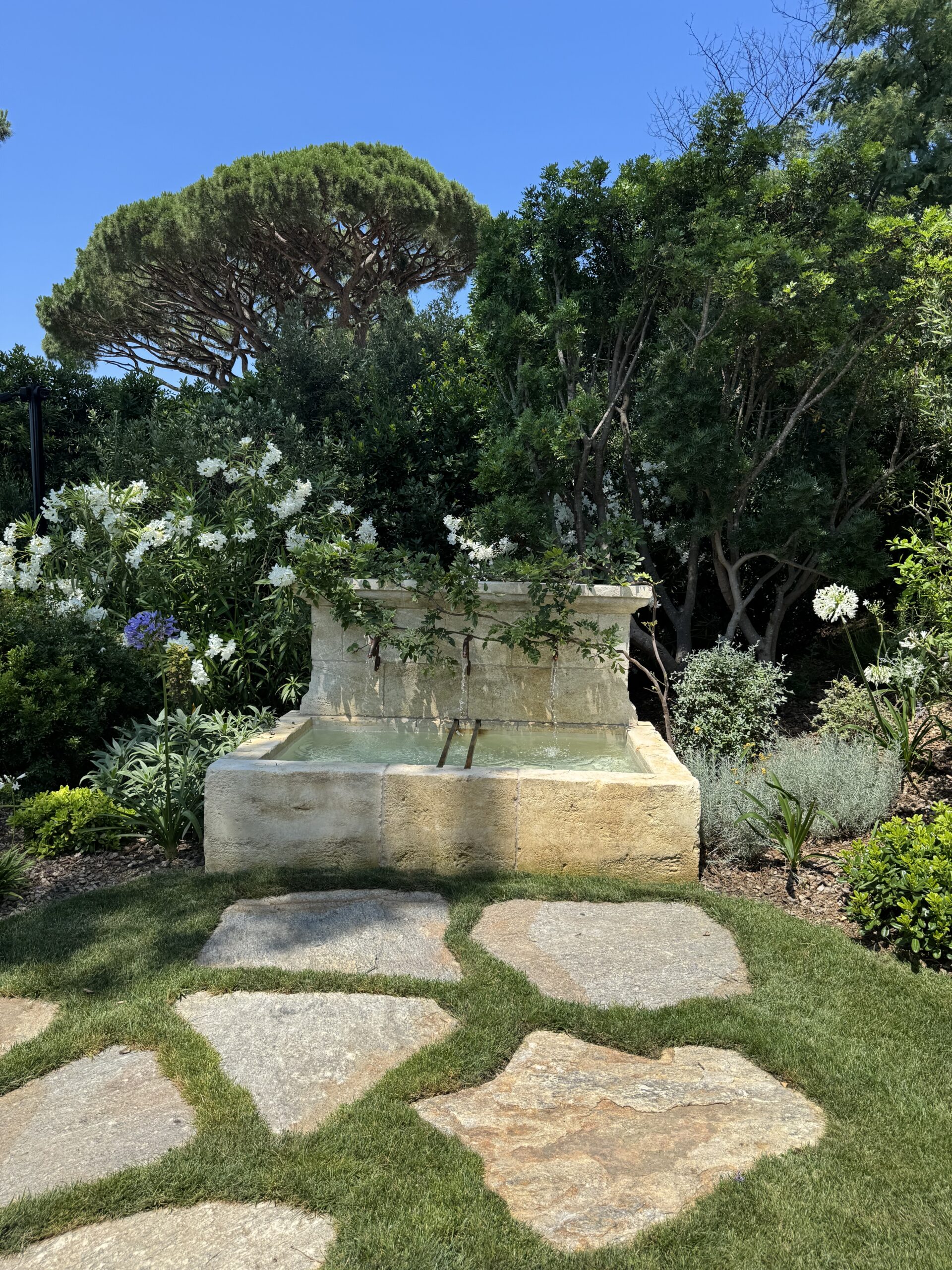 Fontaine en auge de pierre et pas japonais Fontaine en pierre du pays et pas japonais dans un jardin méditerranéen avec pin parasol par MR Paysage