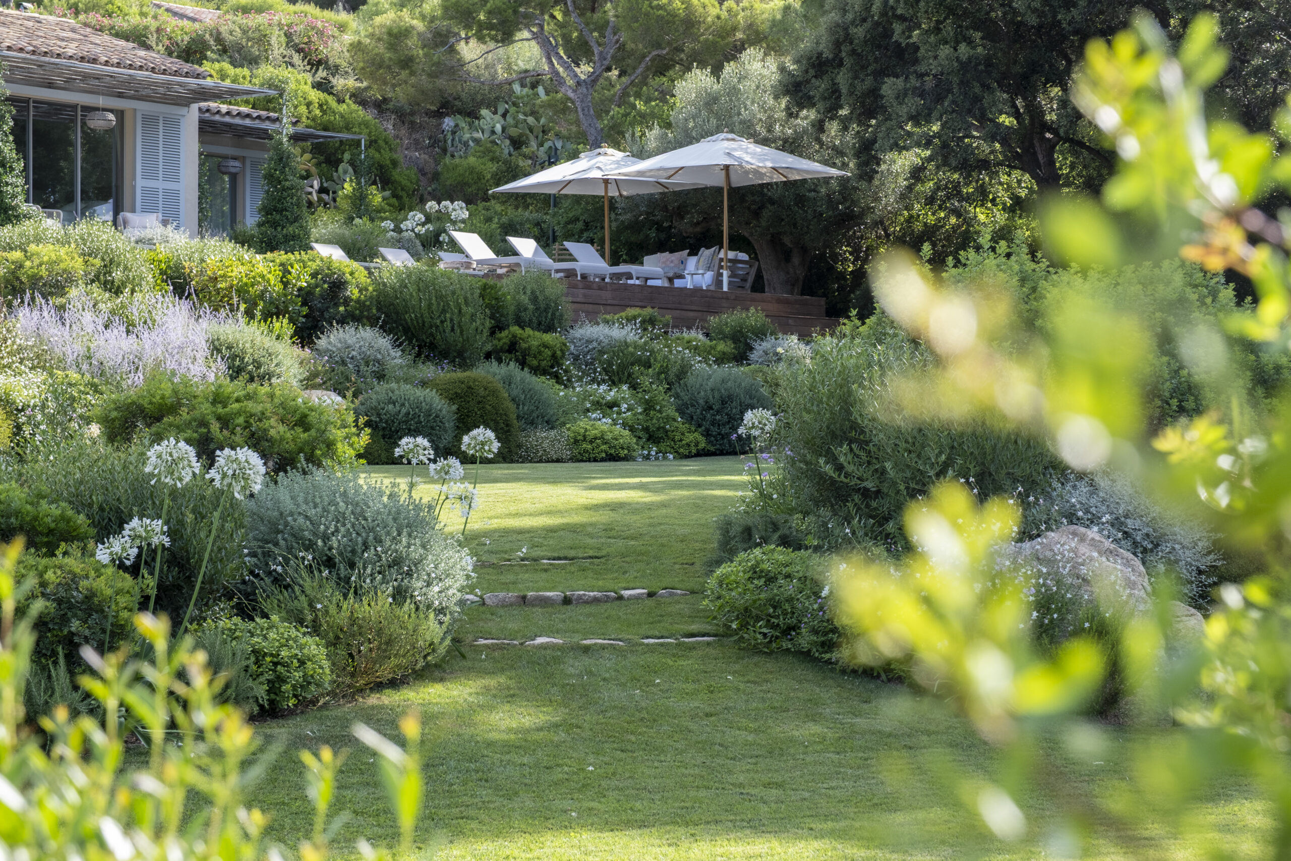 Jardin paysager — terrasse, parasols et massifs ondulants Grand jardin paysager avec terrasse en bois, parasols et plantations méditerranéennes en vague par MR Paysage