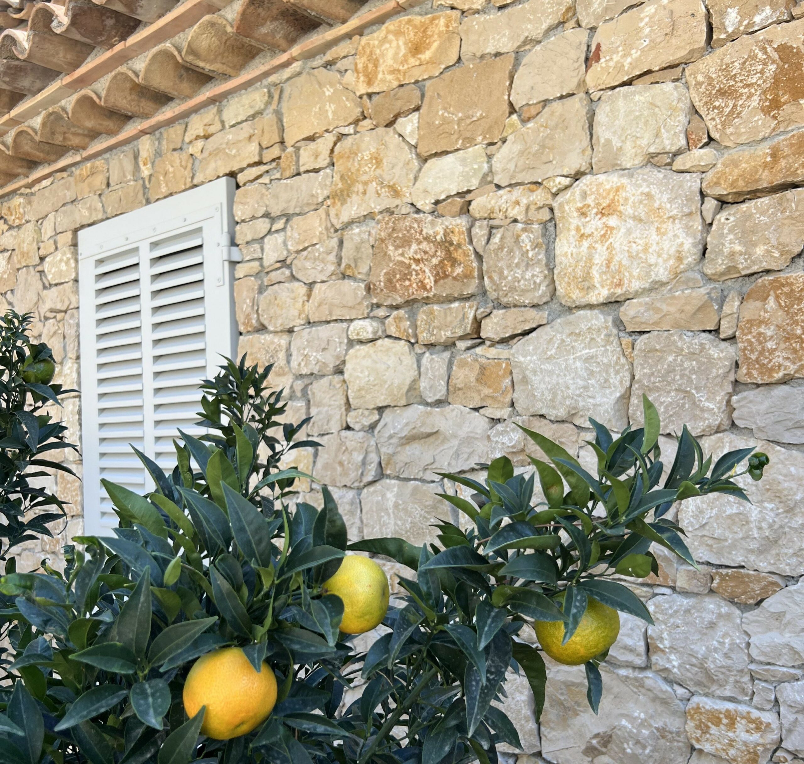 Mur en pierre traditionnelle et agrumes en pot Mur en pierre du pays et orangers en pot devant une bastide provençale aménagée par MR Paysage