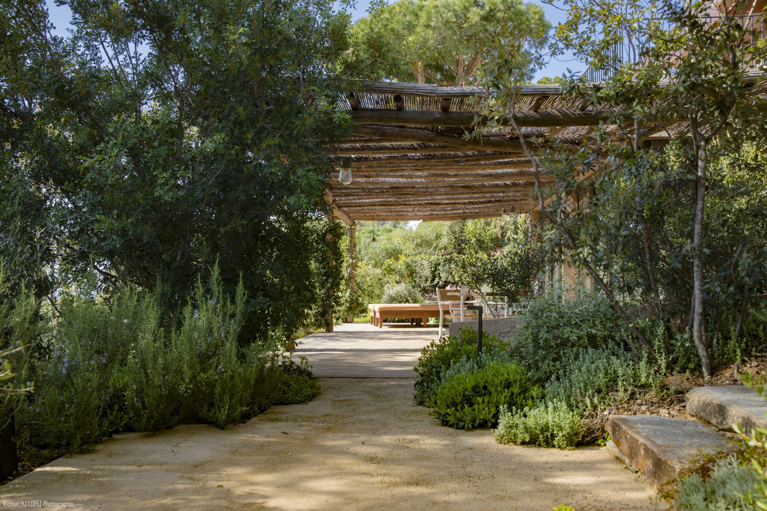 Pergola en canisses et allée stabilisée Allée stabilisée sous pergola en canisses provençales, oliviers et romarins, jardin méditerranéen par MR Paysage