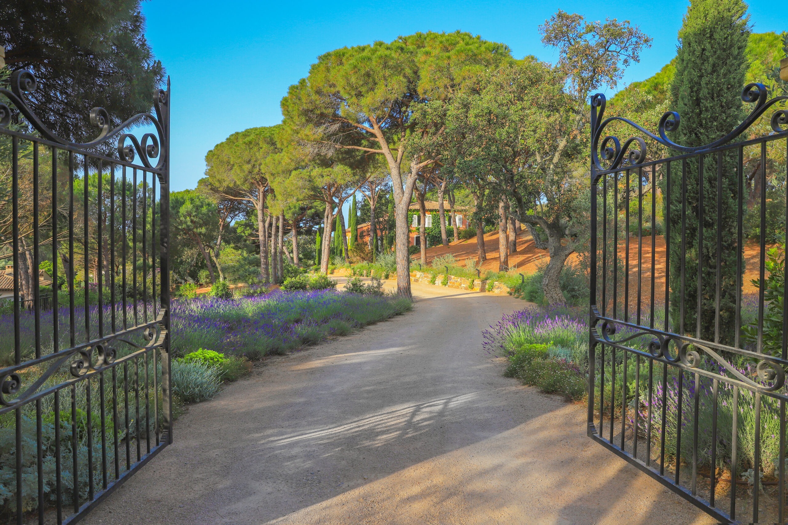 Portail en fer forgé — allée de lavandes Portail en fer forgé et allée d'entrée bordée de lavandes dans une propriété du golfe de Saint-Tropez par MR Paysage