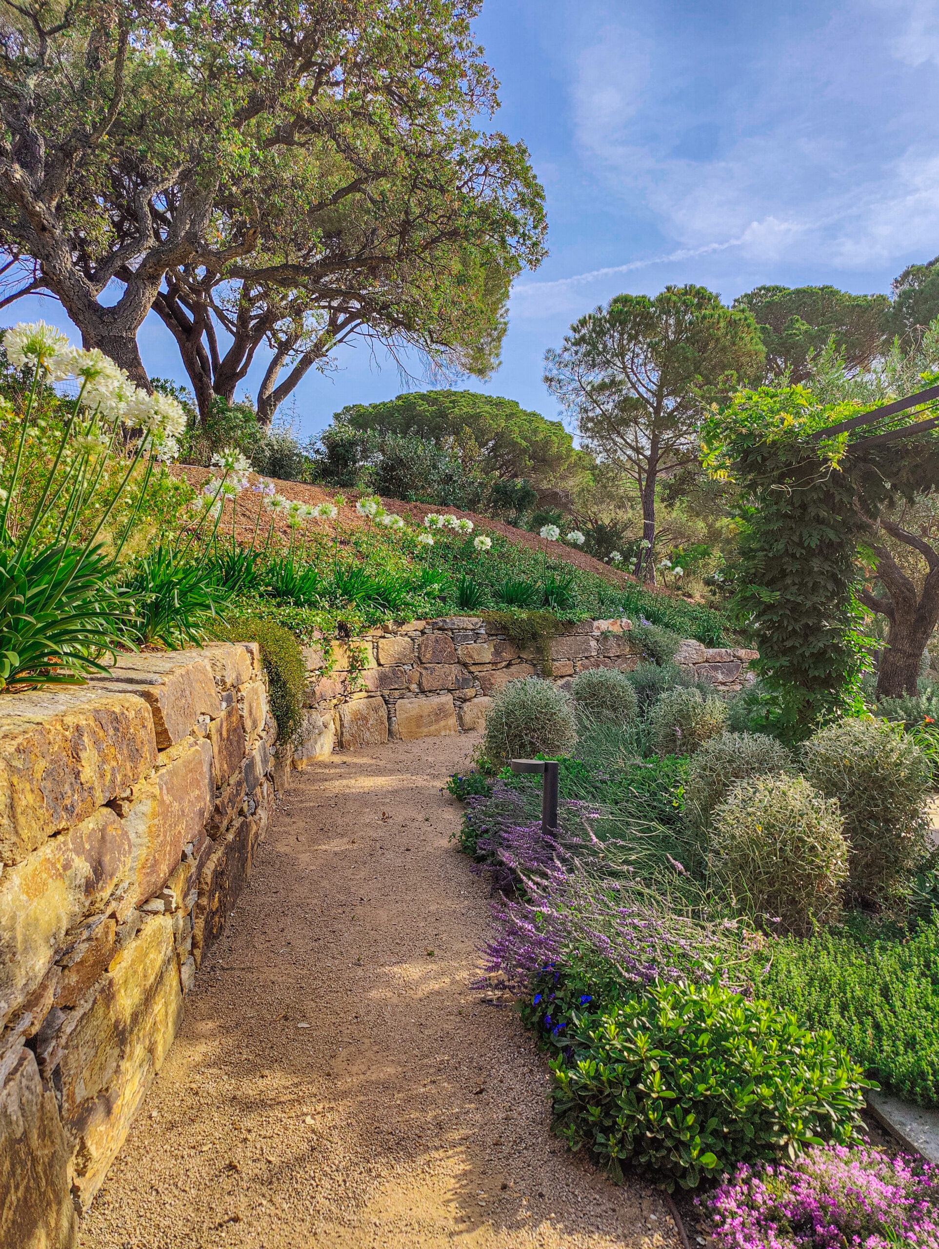 Restanques en pierre du pays — jardin en pente Allée en restanques de pierre du pays dans un jardin méditerranéen en pente par MR Paysage