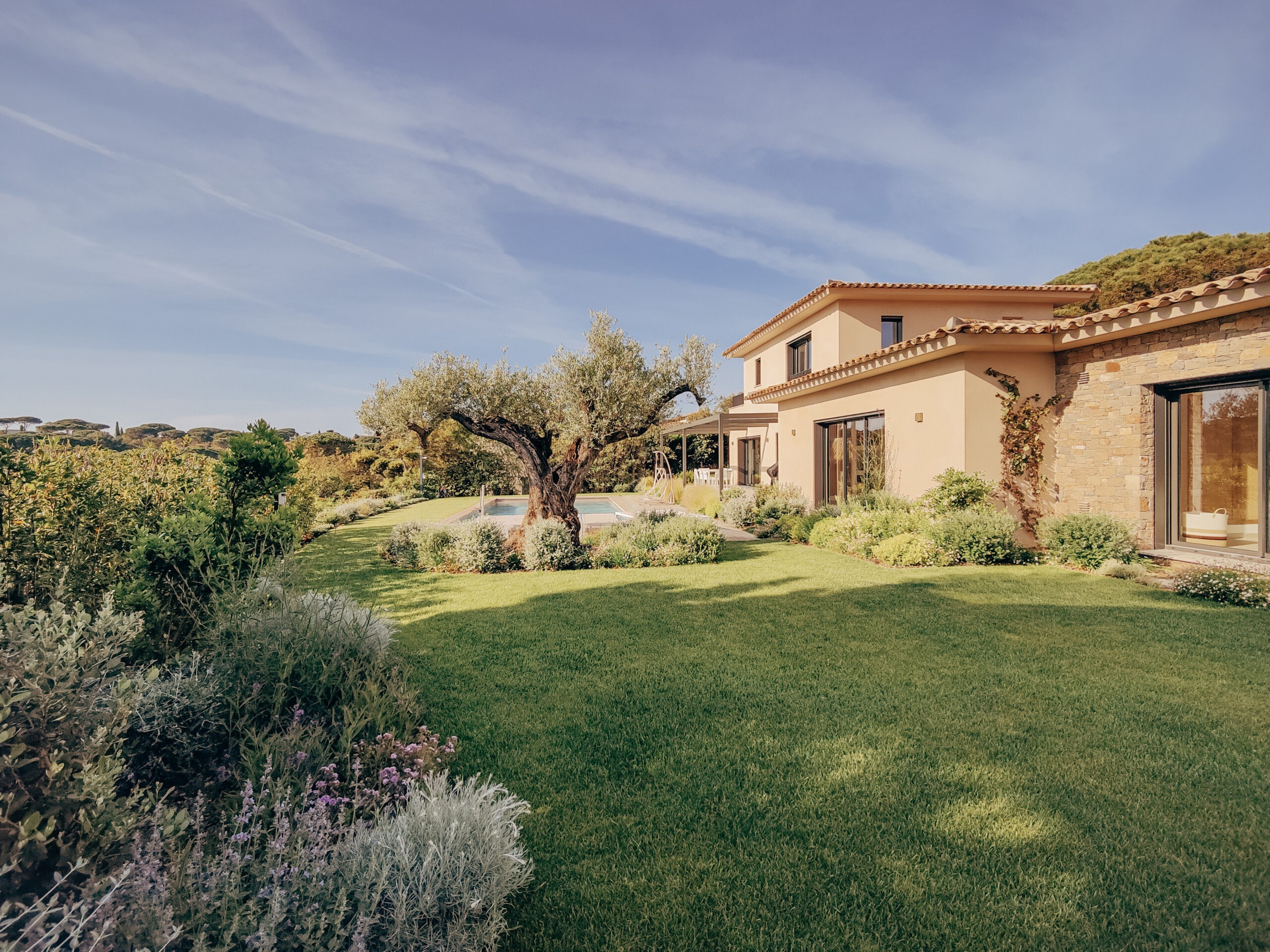 Villa contemporaine et son jardin paysager Villa contemporaine et jardin méditerranéen avec olivier et lavandes par MR Paysage dans le golfe de Saint-Tropez