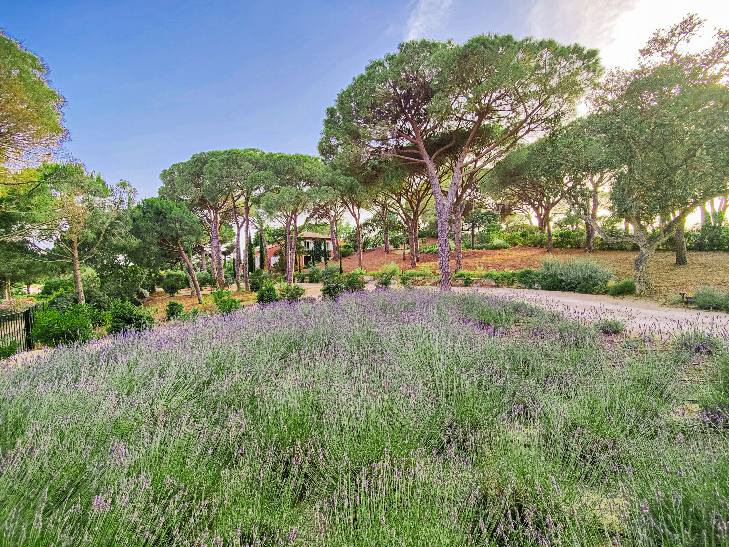 Système d'arrosage automatique installé dans un jardin à Ramatuelle
