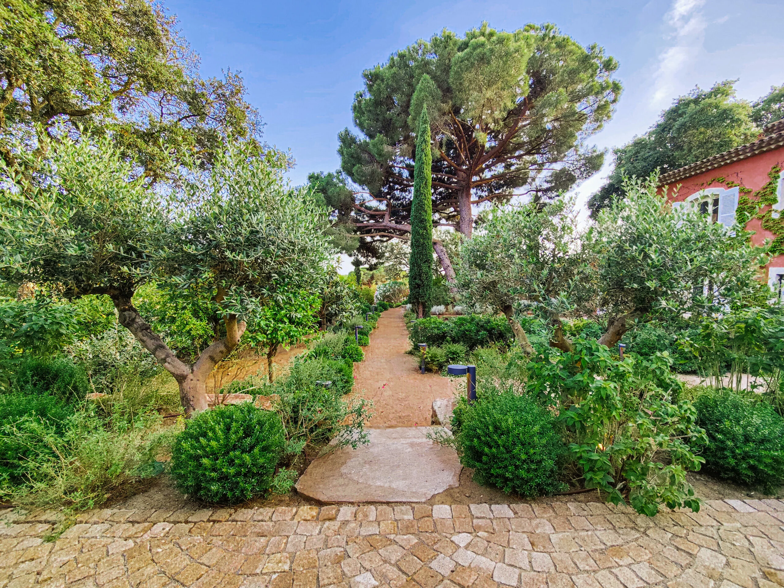 Création de jardin méditerranéen à Cavalaire : essences côtières et arrière-pays
