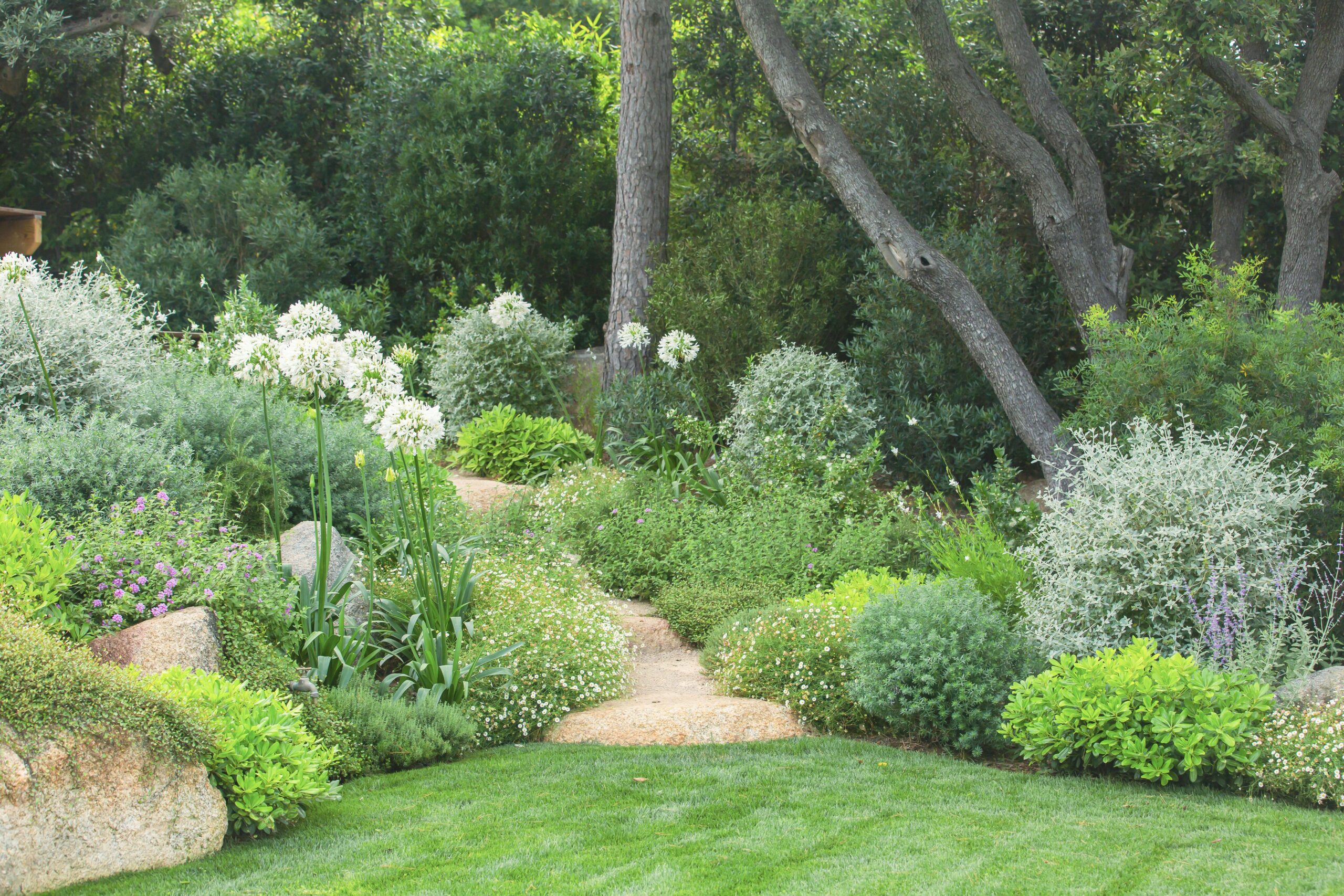 Entretien d'espaces verts dans un jardin tropézien
