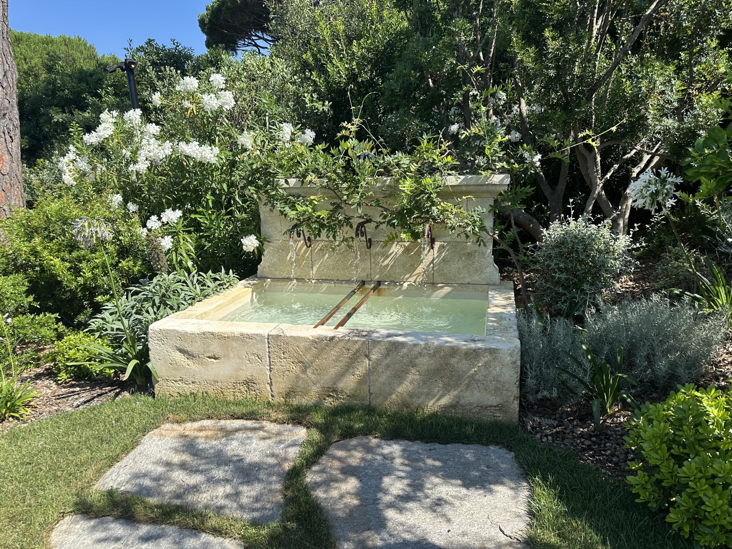 Bassin paysager intégré à un jardin de villa à Saint-Tropez