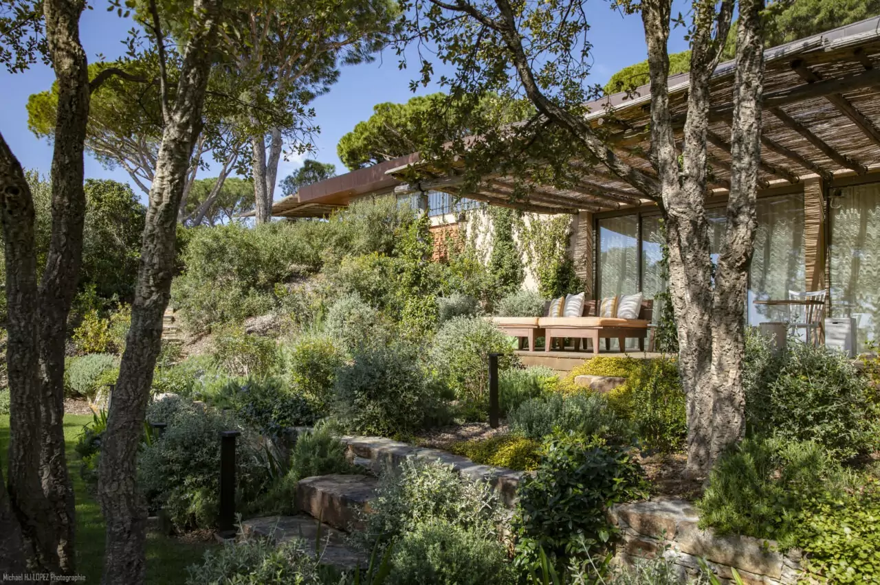 Création de jardin méditerranéen à La Croix-Valmer : oliviers, lavandes et essences locales